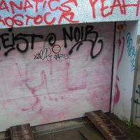 01-Graffitientfernung-in-Rostock-Garagentor-Fassade-reinigen-Farbe-einlesen